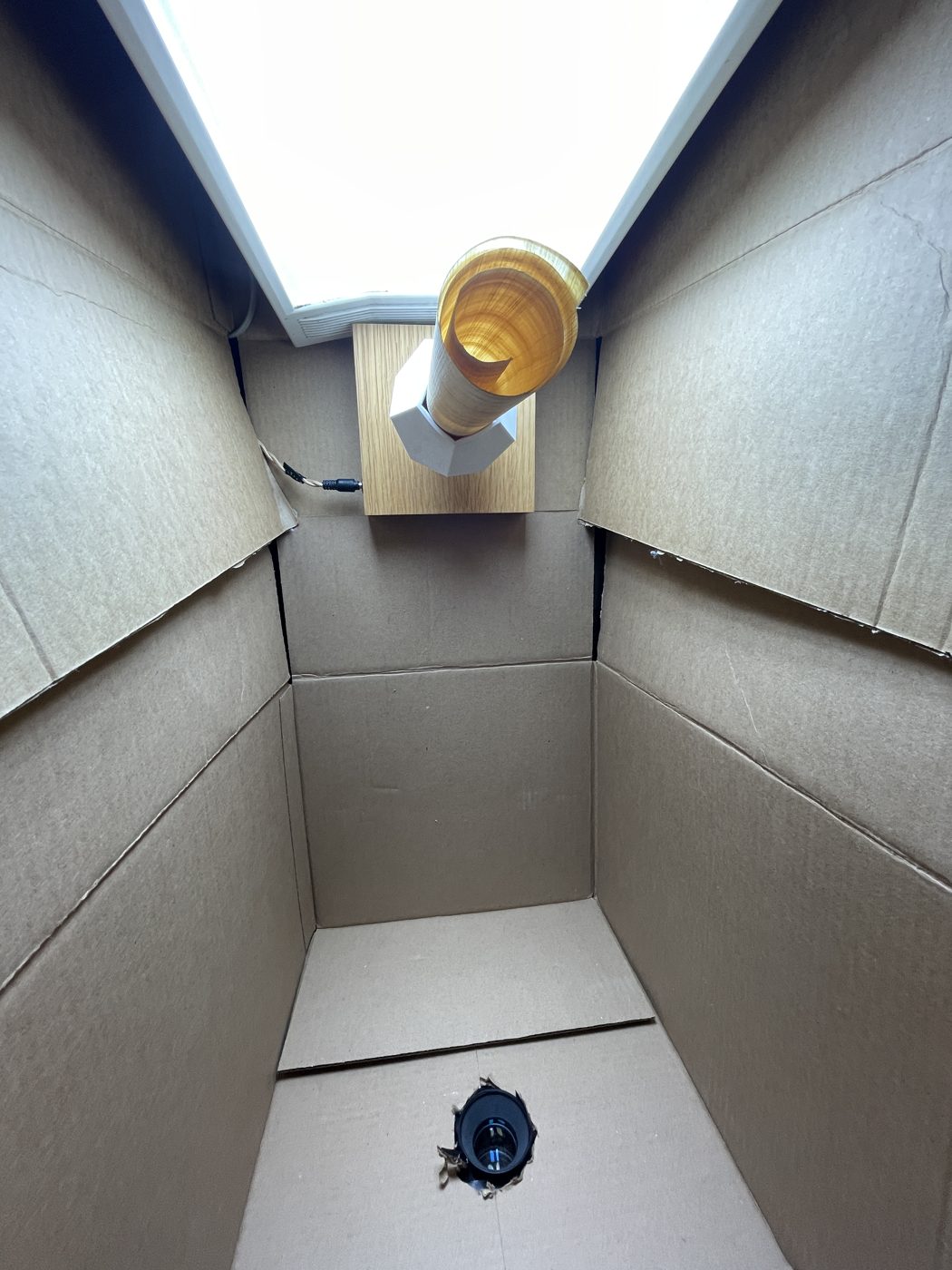 Looking down into the cardboard box: lamp at the top, scroll stand, camera hole