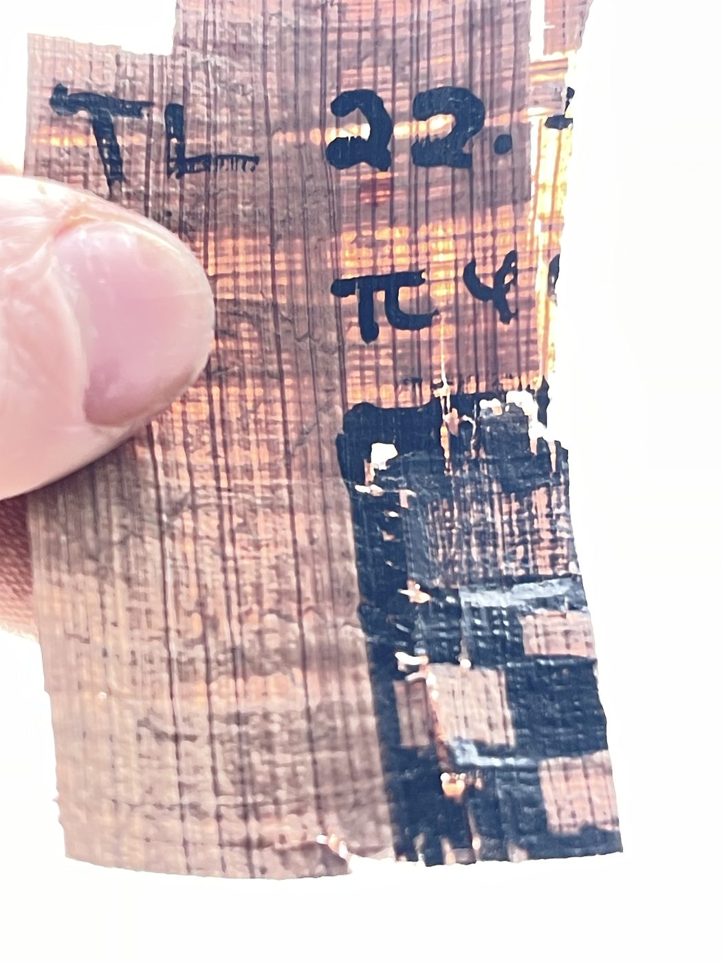 A small inked papyrus fragment, half painted in checkerboard