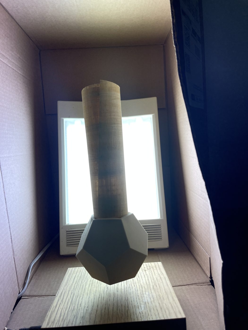 Scroll on the levitating planter, backlit by the lamp inside the box