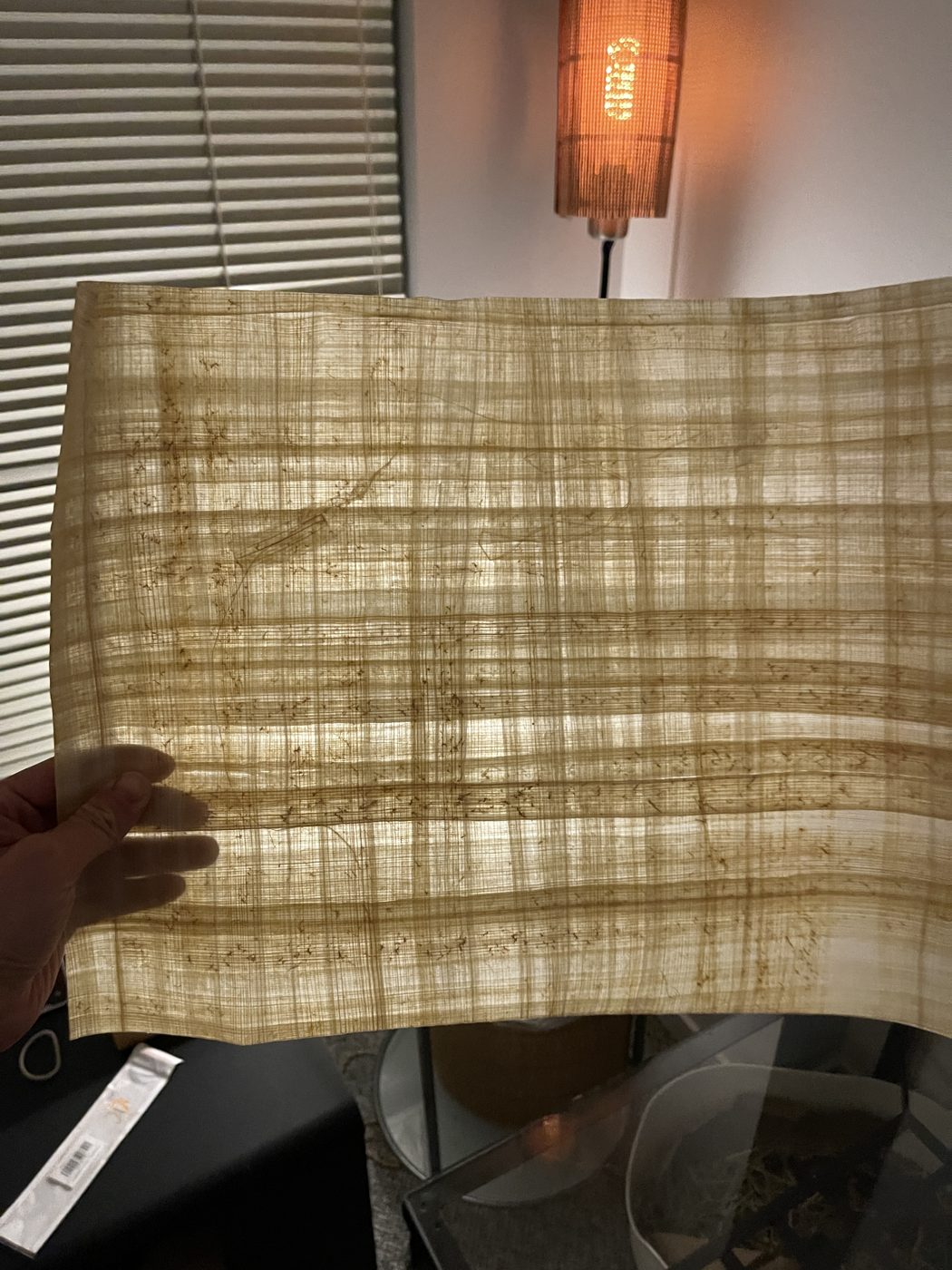 A sheet of papyrus held up in front of a lamp, its fibre grid glowing